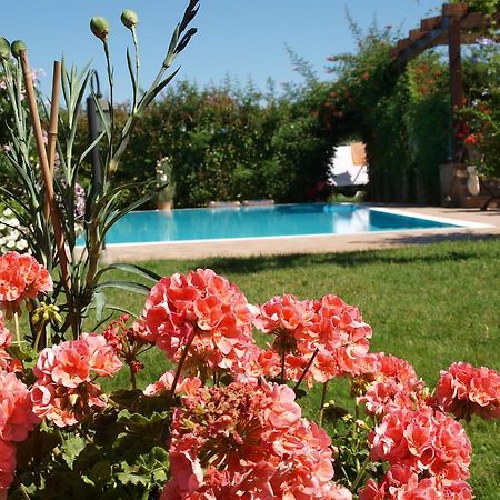 Villa Giusy B&B Чезена Экстерьер фото
